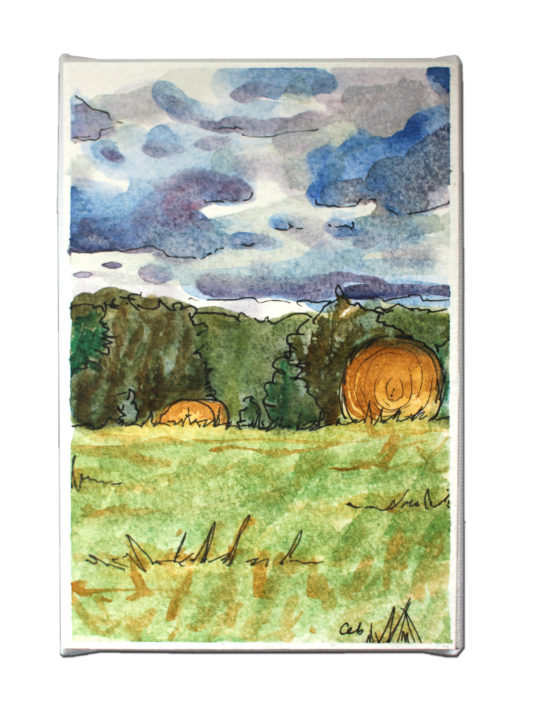 Bordeaux6CarrieBrummerLR bordeaux france, bordeaux wine, bordeaux region, plein air art, original fine art for sale, landscape art, southern france art, wine country art
